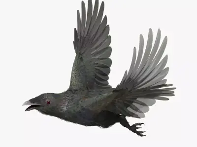 CROW - CORVUS - rigged - animated - Standard - PBR - VRAY  Low-poly 3D model