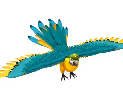 Pack of 7 Birds Rigged 3D Model Free low-poly 3D model