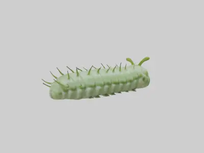 Tomato Hornworm Low-poly 3D model