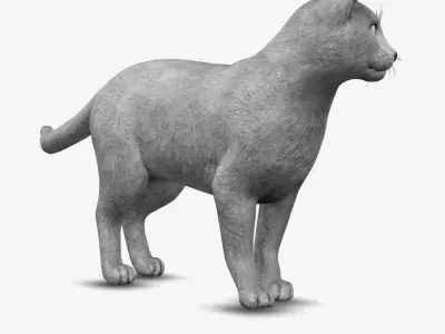 cat Russian blue 3D model