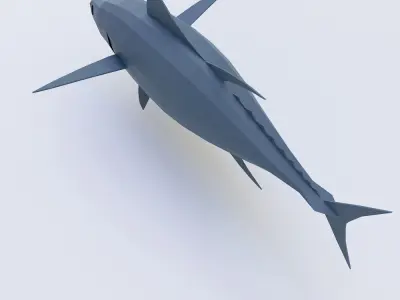 Tuna fish low poly 3d model  Low-poly 3D model