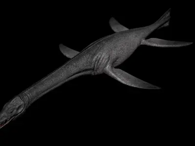 Cryptoclidus Pack Low-poly 3D model