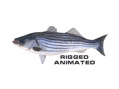 Low-Poly Striped Bass Animated Free low-poly 3D model