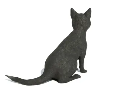 Cat pet 3D model