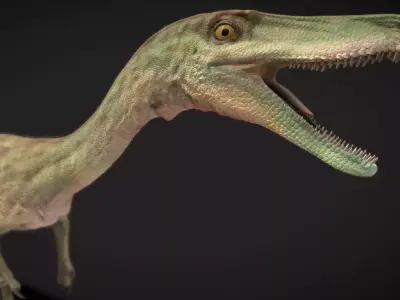 Coelophysis Low-poly 3D model