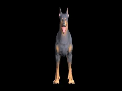 Doberman Dog Low-poly 3D model Low-poly 3D model