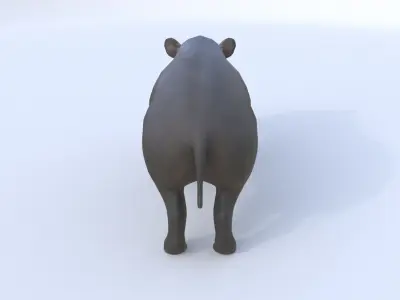 Tapir 3D model
