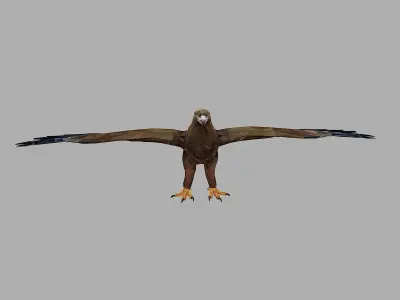 Eagle Low Polygon Art Bird Animal Low-poly 3D model