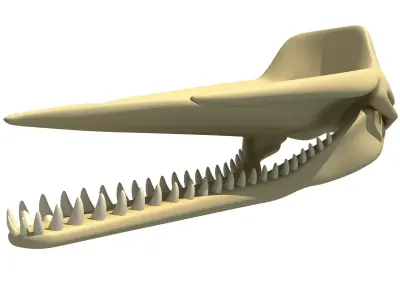 Sperm Whale Skull 3D model