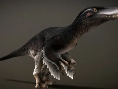 Utahraptor Low-poly 3D model