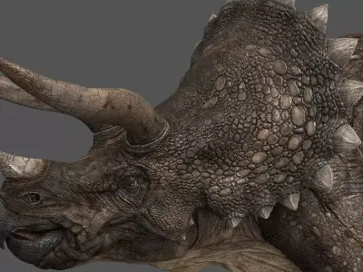 Triceratops - animations Low-poly 3D model