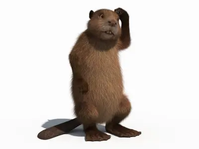 Cartoon Beaver 3D model
