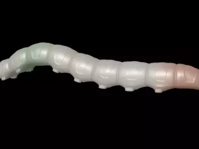 insect  worm Cordyceps 3D model