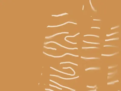 salmon sushi 3D model