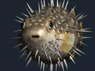 3DRT - Sealife -  Puffer fish Low-poly 3D model
