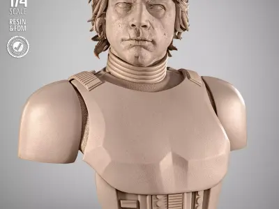 STAR WARS Luke Stromtrooper Portrait Bust 3D print model purchase