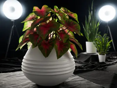  Caladium Potted Plant Model, Red 