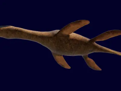 Pliosaur Rhomaleosaurus Low-poly 3D model