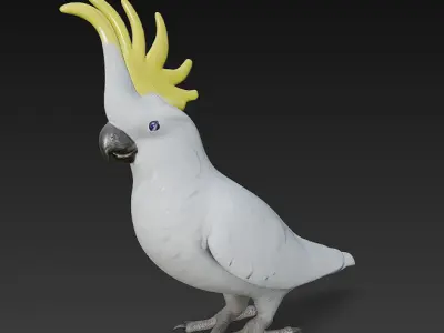 Cockatoo Parrot 3D Model Basic - Low Poly Simple Low-poly 3D model