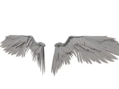 angel wings 3D model