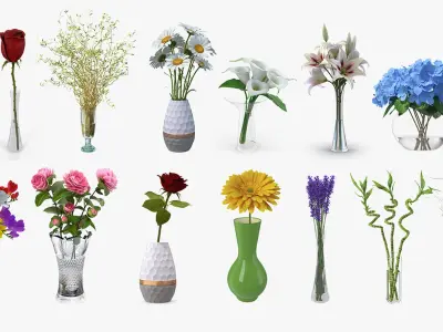 Flowers in Vases Collection 8 3D model