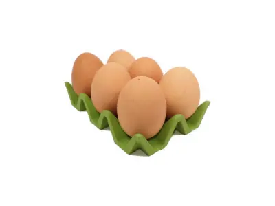 Fridge Egg Storage Rack 3D print model