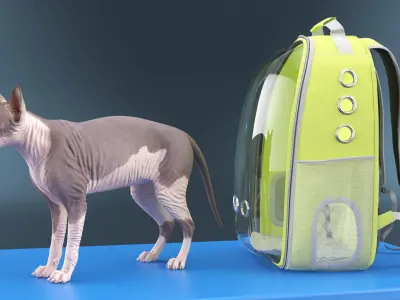 Veterinary Examination 3D model