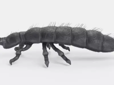-Snow Flea- 3D model