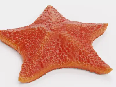 -Bat Starfish - Red- 3D model