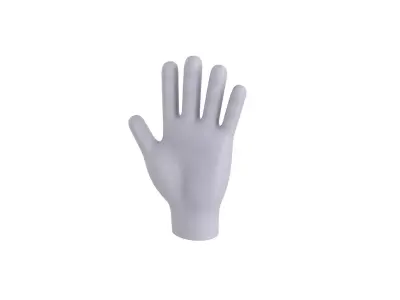 Hand 001 3D model