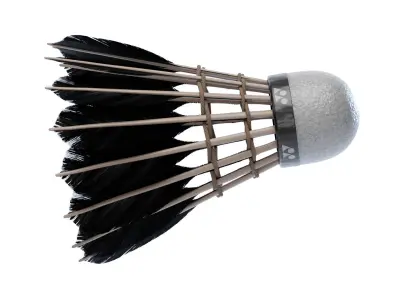 Shuttlecock feather headdress 3D model