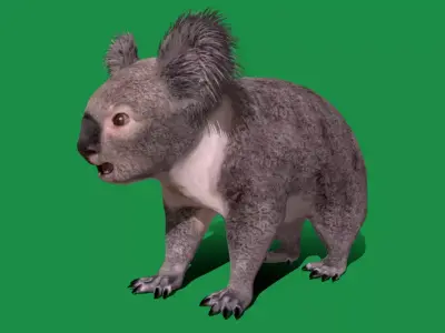 Koala Bear Mammal Free low-poly 3D model