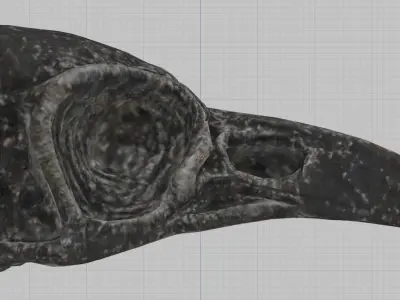 Crystal Skull - The Witcher 3 Wild Hunt Free low-poly 3D model