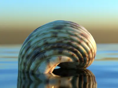 Green Seashell - High Quality Scan - 4K PBR Textures 3D model