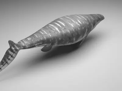 Mosasaurus 3D model