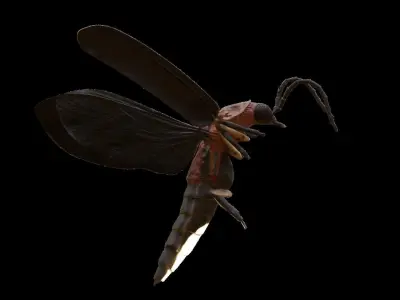 Realistic Firefly Insect - Rigged - Animated Low-poly 3D model
