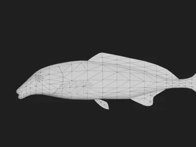 Elephantfish Low-poly 3D model