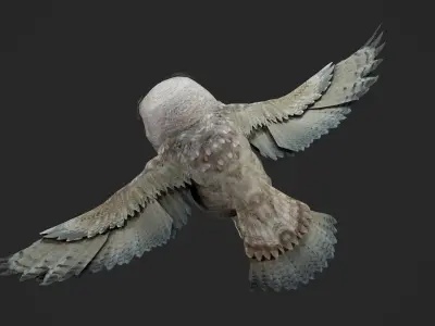 animated owl Low-poly 3D model