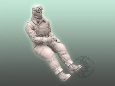 WW I Pilot 3D print model