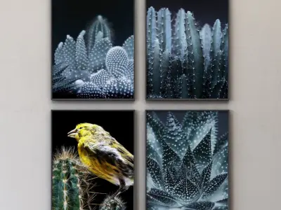 JUNIQE Cactus framed set-02 3D model
