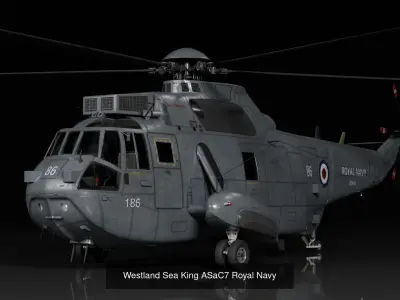 Westland Sea King collection 