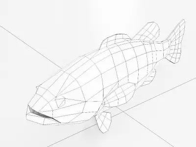 Carp fish low poly 3d model  Low-poly 3D model