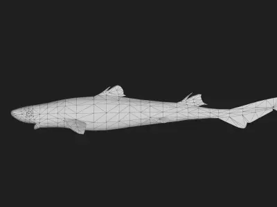 Cookiecuttershark Low-poly 3D model