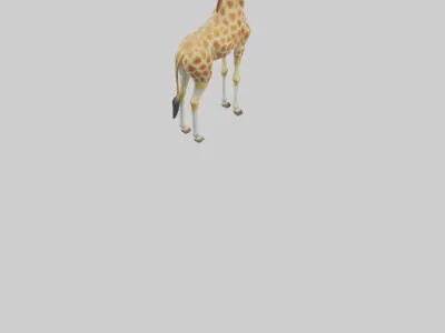Giraffe grazing model Low-poly 3D model