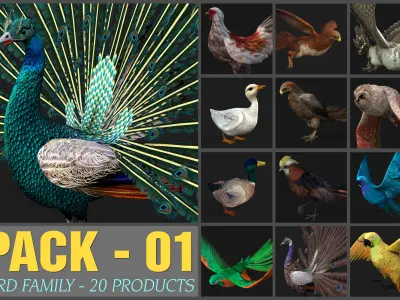 Pack-01-Bird Family 3D model