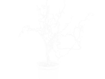  Corkscrew Hazel Branches Plant Model 