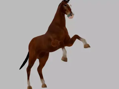 Rigged and Animated Brown Horse 3D model