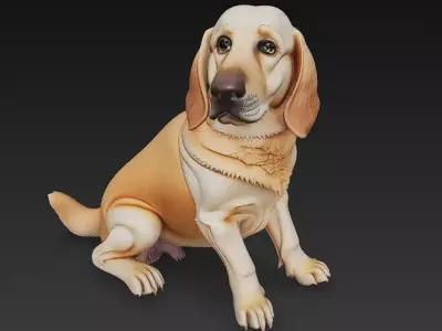 Golden Retriever Dog Realistic 3D Model - Low Poly Realistic Low-poly 3D model