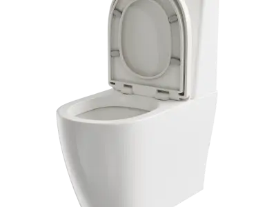  One-Piece Toilet Model 