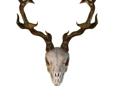 Ram Skull 3D model